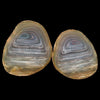 Island Agate #1 Small