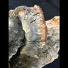 Indonesian Plume Agate