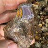 Mexican Agate Old Stock