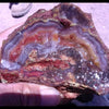 Laguna Specimen Grade Agate