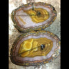 El Sueco Select Agate Nodules