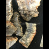 Indonesian Plume Agate