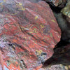 Red Fingerprint Jasper