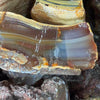 Brazilian Agate