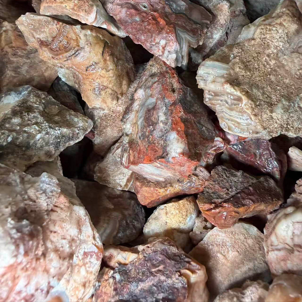 Crazy Lace Agate Select Cabbing and Tumbling