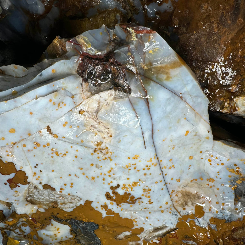 Polka Dot Agate (blue)