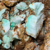 Indonesian Chrysoprase