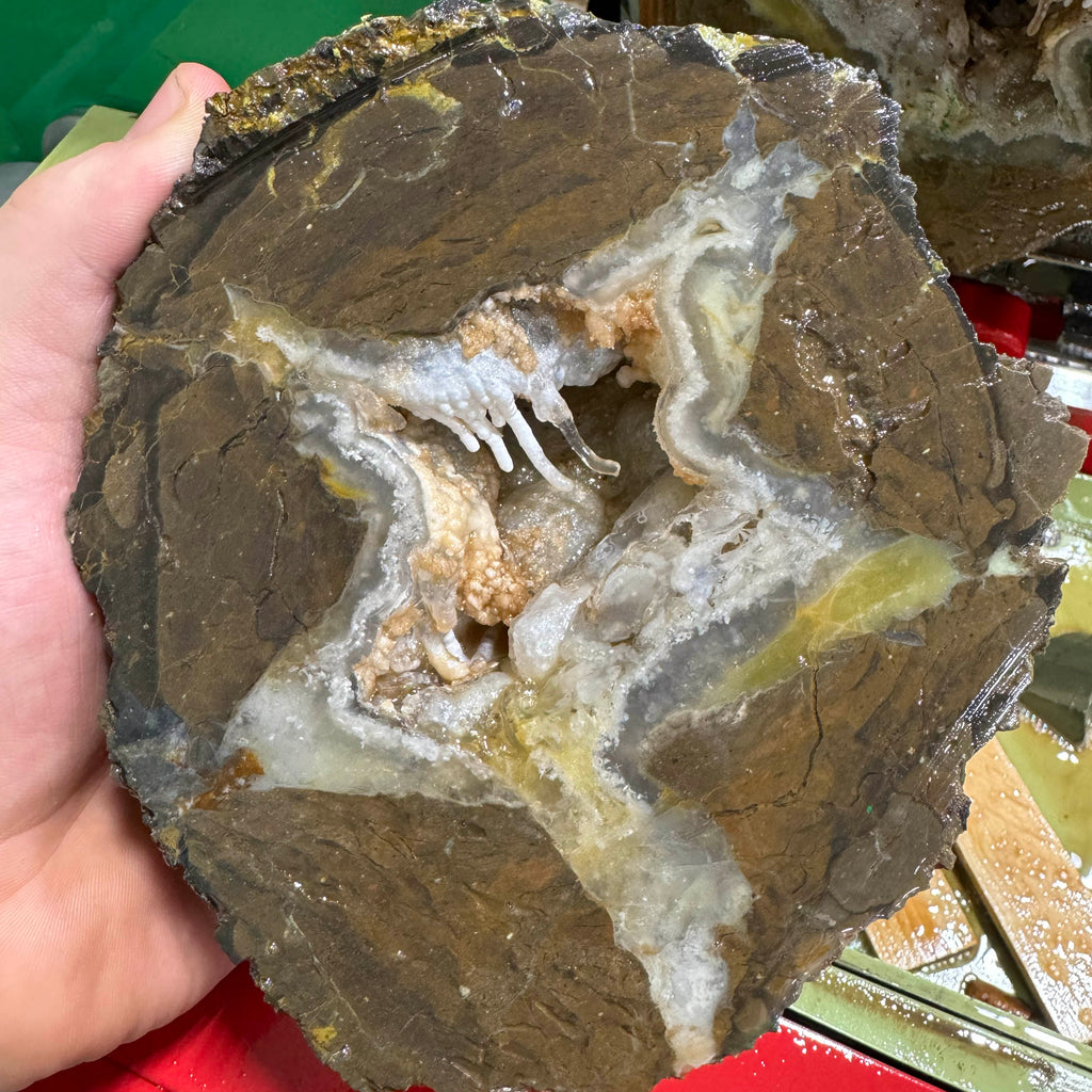 Canyon Rim Thundereggs