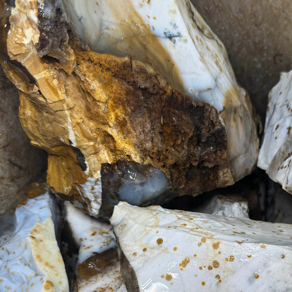 Polka Dot Agate (white)