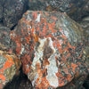 Tipara Jasper