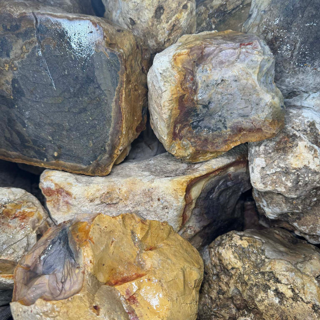 Oceania Mountain Jasper