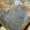 Oceania Mountain Jasper