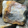 Oceania Mountain Jasper