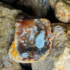 Phantom Needle Agate
