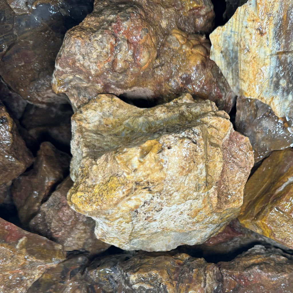 Indonesian Yellow Sagenite