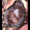 Laguna Specimen Grade Agate