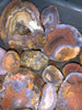 El Sueco Select Agate Nodules