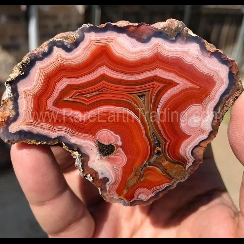 Laguna Specimen Grade Agate