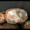 Malawi Botswana-Like Agate Whole Nodules