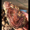 Laguna Specimen Grade Agate