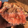 Laguna Specimen Grade Agate