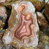 Laguna Specimen Grade Alianza Agate