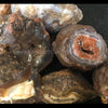 Coyamito Cabbing and Tumbling Grade Pseudomorph Agate