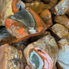 Polychrome Jasper