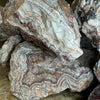 Crazy Lace Agate