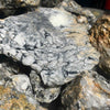 Pinolite/Pinolith