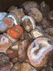 Coyamito Cabbing Grade Agate Rough.  Mixture of nodules and broken pieces (Price per pound)