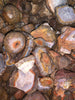 Coyamito Cabbing Grade Agate Rough.  Mixture of nodules and broken pieces (Price per pound)