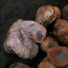Coyamito Specimen Grade Agate Baby Rough (Price per pound)