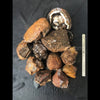 Coyamito Specimen Grade Agate Rough  (Price per pound)