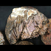 Coyamito Specimen Grade Pseudomorph Agate Rough.  (Price per pound)